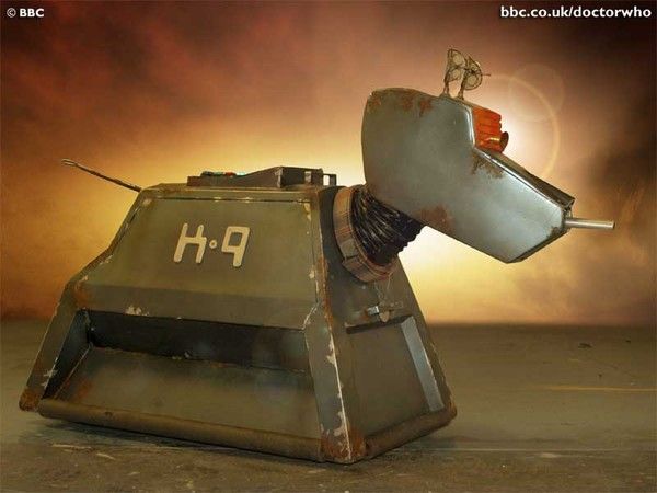 K 9 k-9